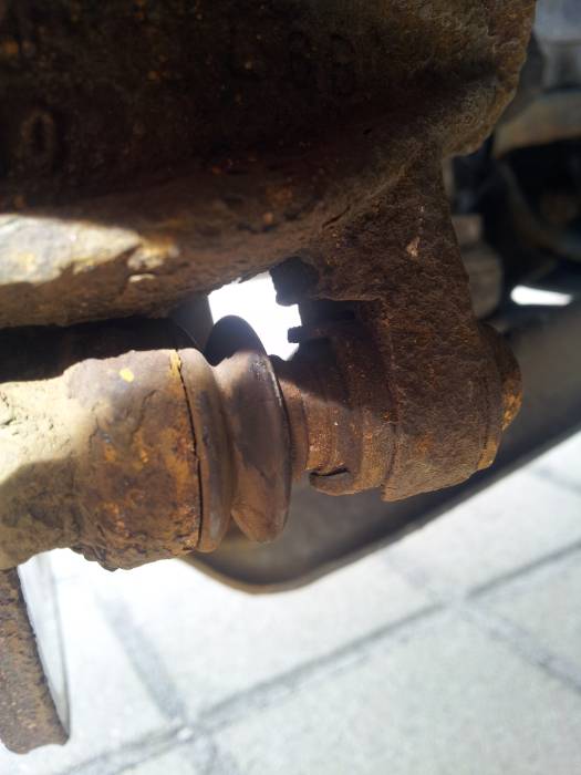 ASCII���User comments