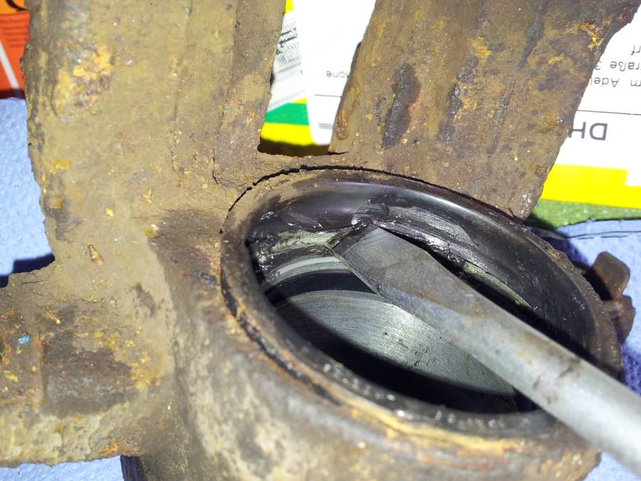 ASCII   User comments