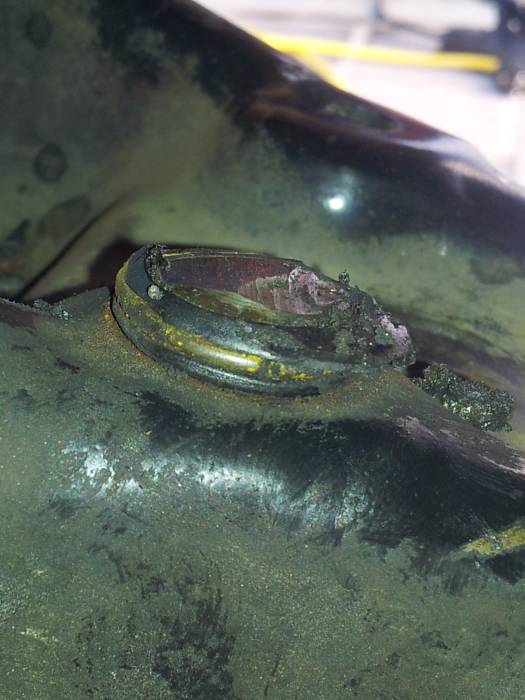 ASCII   User comments